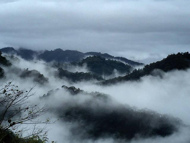 台中農地-5