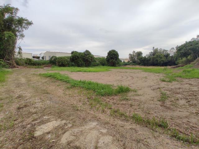 台南善化農地-1