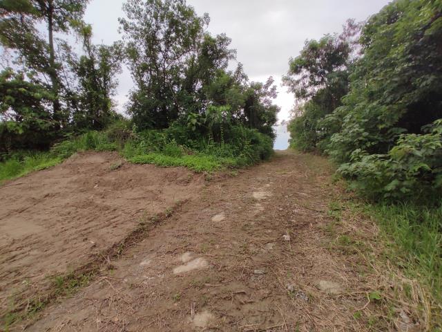 台南善化農地-3