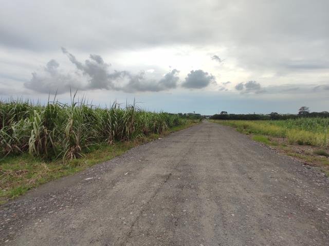 台南善化農地-8