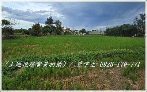 桃園觀音農地-5