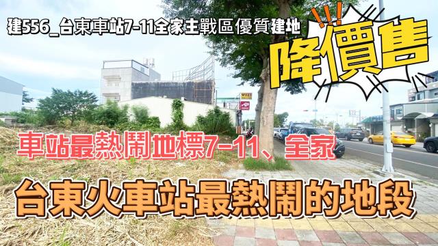 台東建地-7