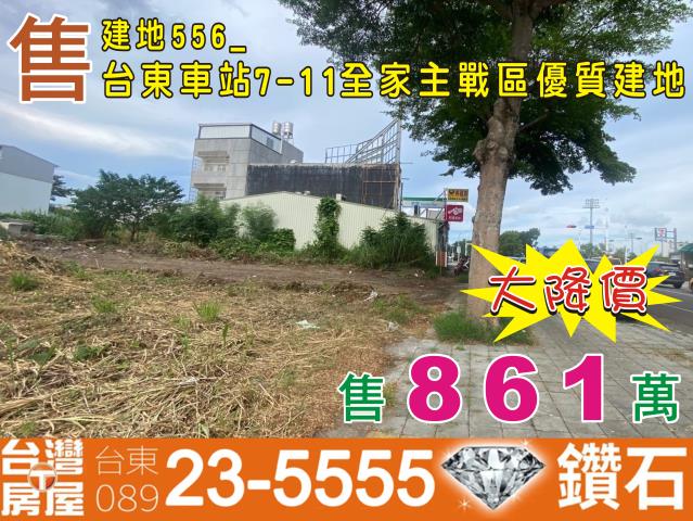 台東建地-0