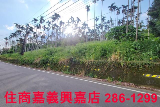 嘉義中埔農地-1