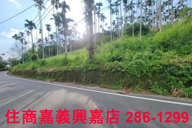 嘉義中埔農地-2