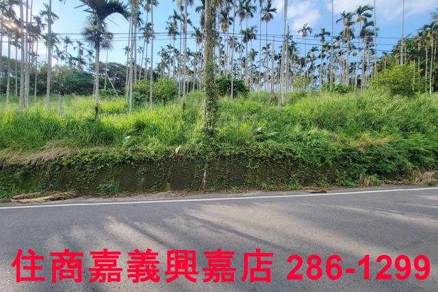 嘉義中埔農地-7