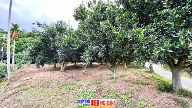 新竹峨眉農地-7