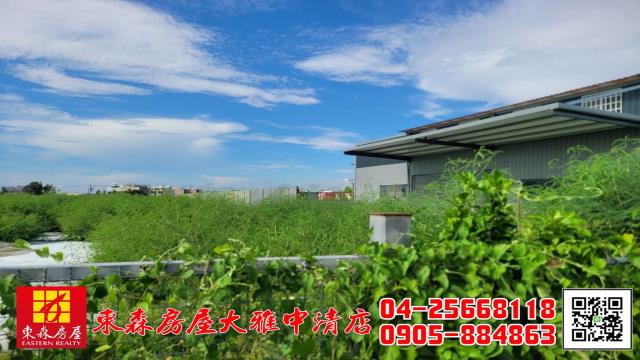大雅農地-3