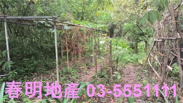 新竹農地-2