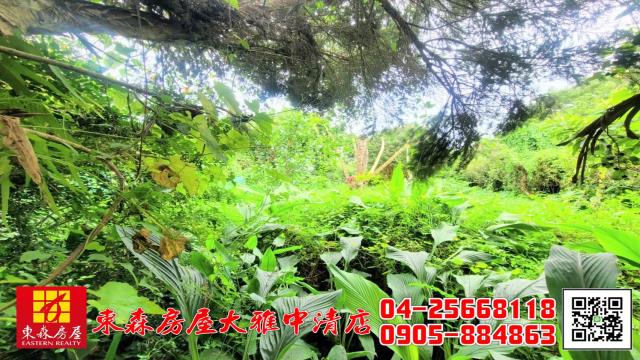 台中新社農地-13