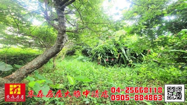 台中新社農地-14