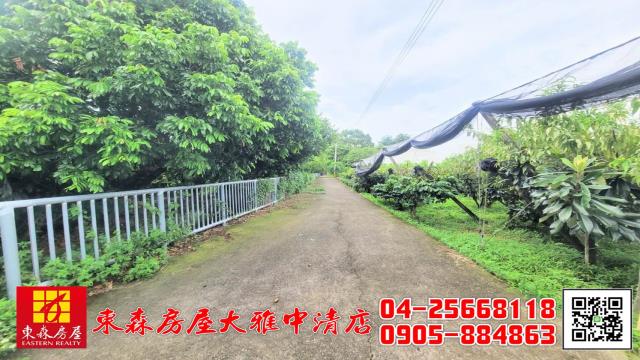 台中新社農地-5