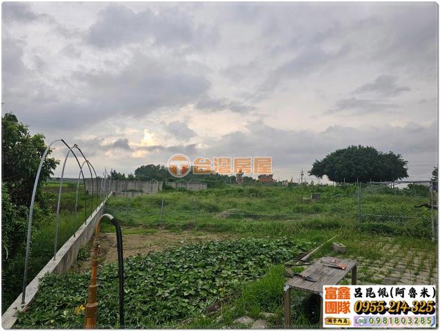 六腳農地-2