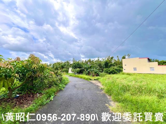 台南關廟農地-8