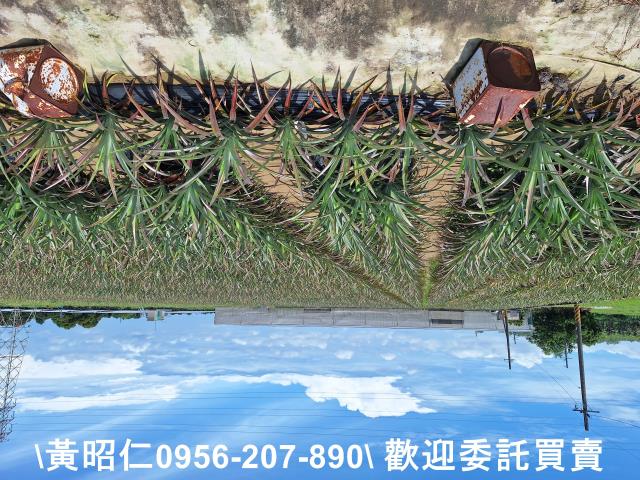 山上農地-0