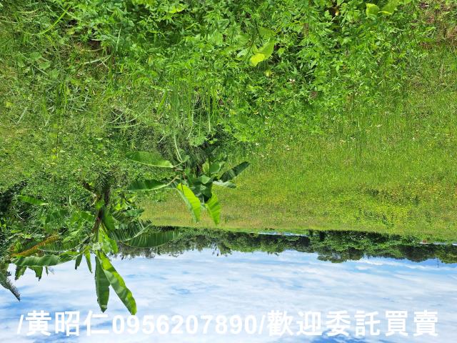 山上農地-3