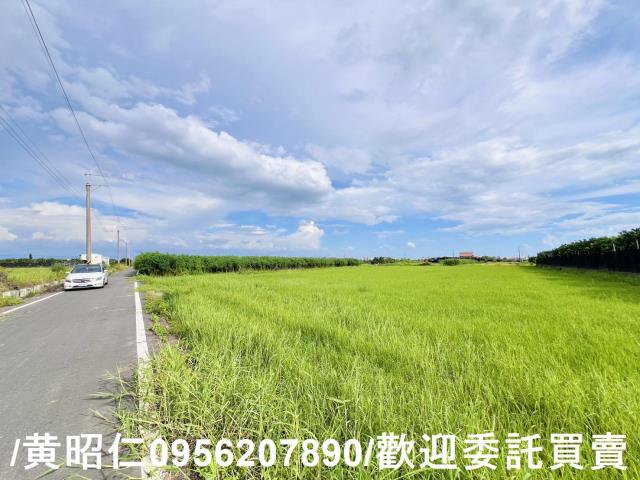 麻豆農地-2