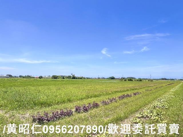 台南佳里農地-7