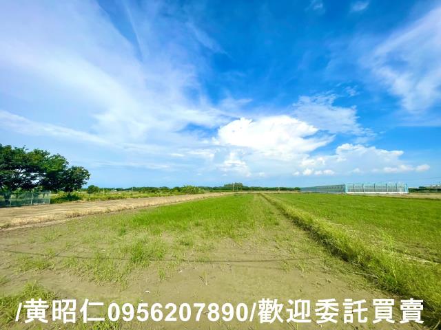 台南佳里農地-4