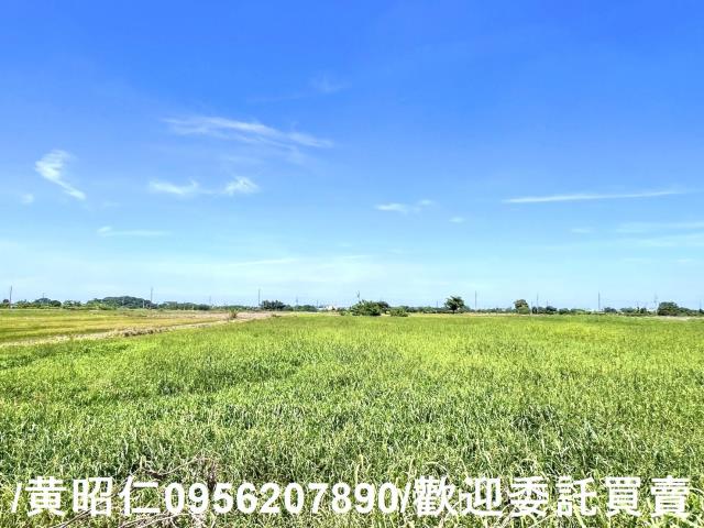 台南佳里農地-8