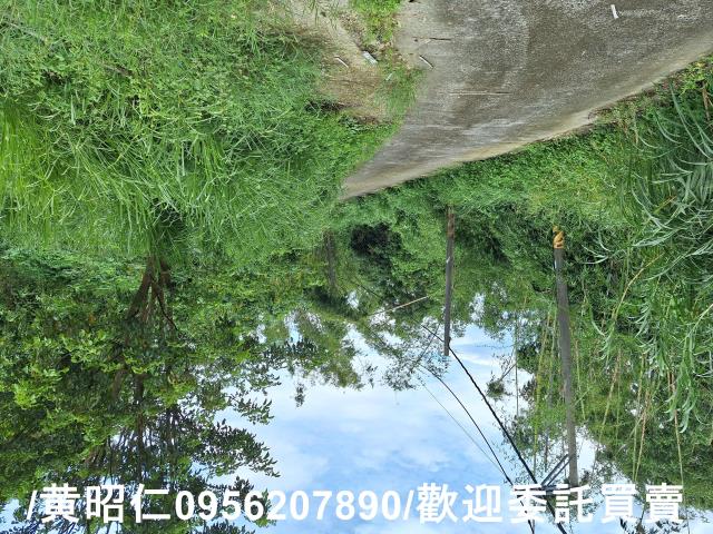 台南左鎮農地-3