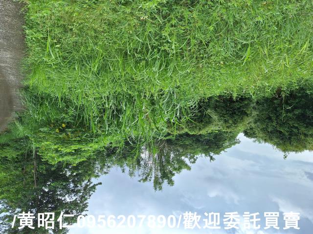 台南左鎮農地-4