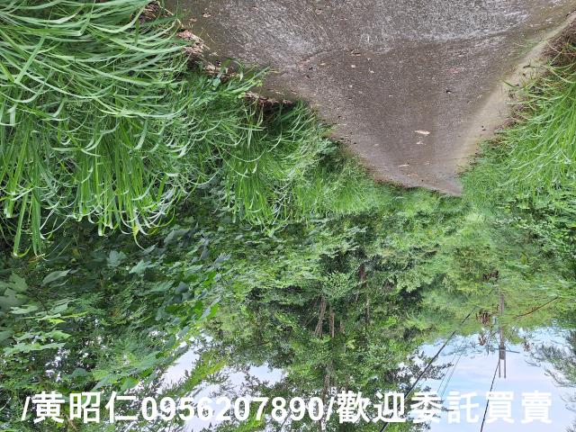 台南左鎮農地-7