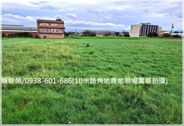 桃園中壢山東國小農地