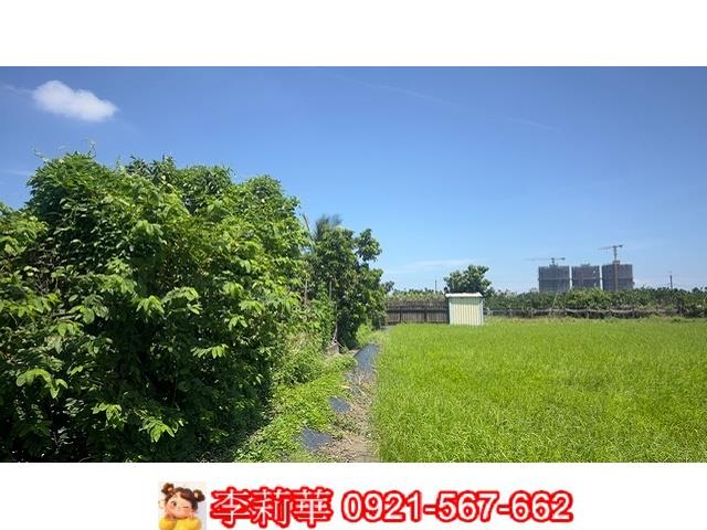 麻豆農地-9