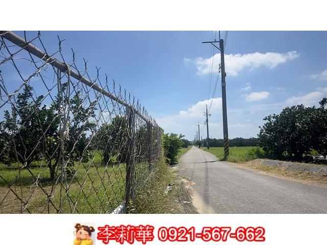 麻豆農地-2