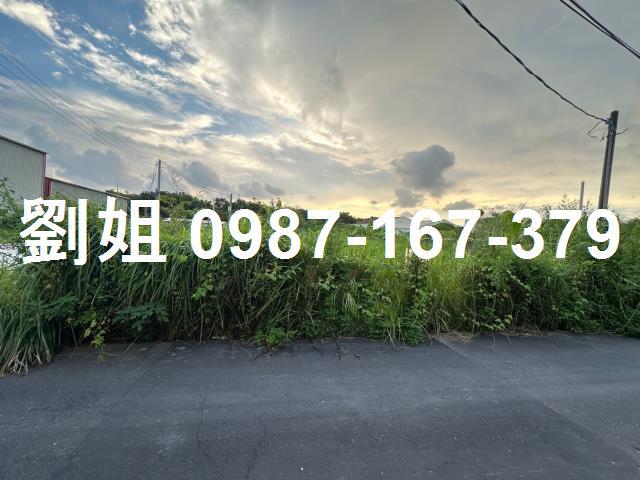 仁武農地-0
