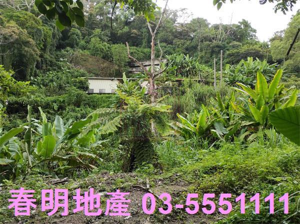 新竹農地-4