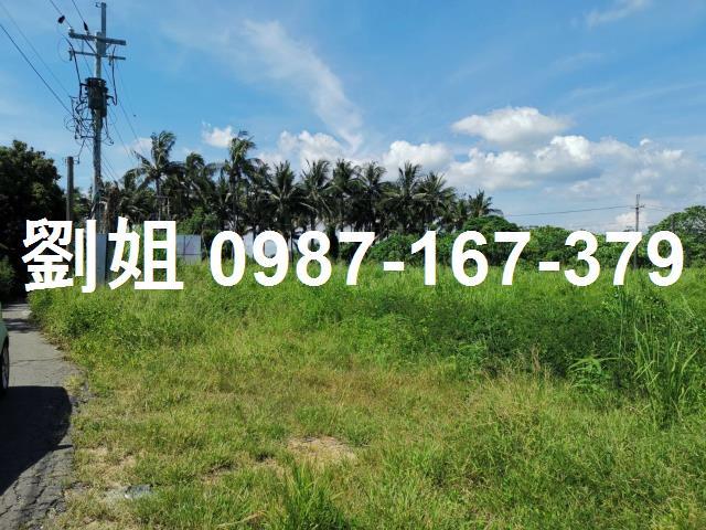 麻豆大山段優質農地進馨推薦