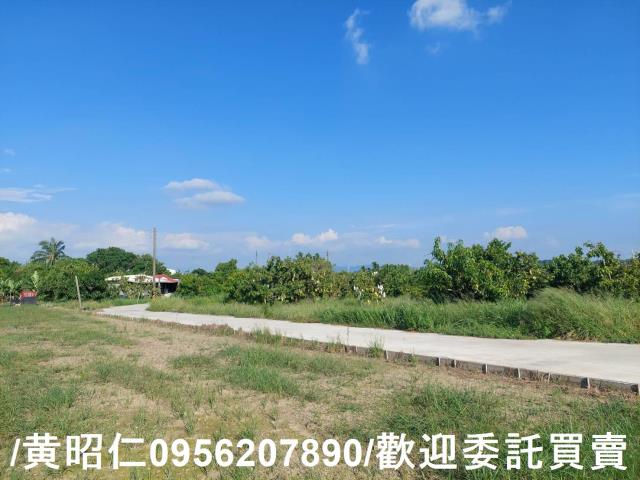 台南山上農地-4