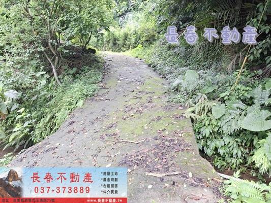 苗栗公館農地-9