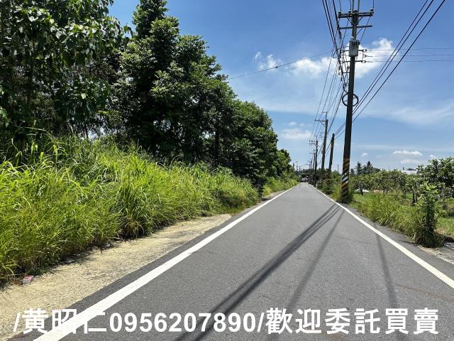 玉井農地-0