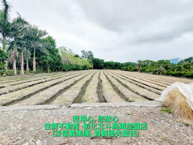 溪州農地-0