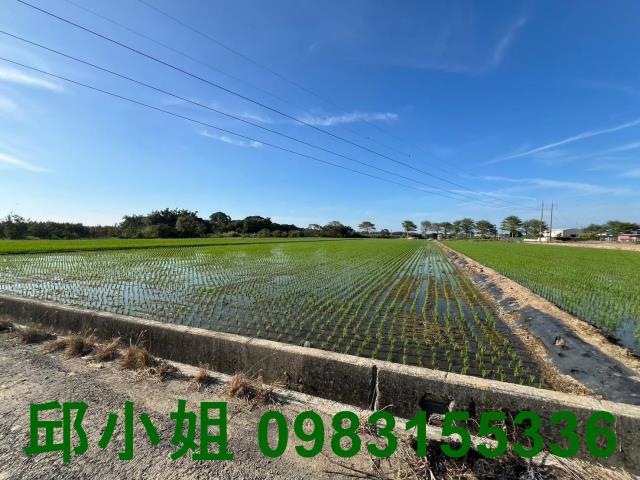 太保農地-1