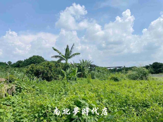 台南大內農地-1