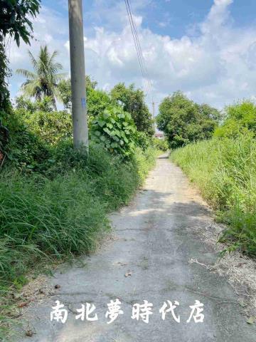 台南大內農地-2