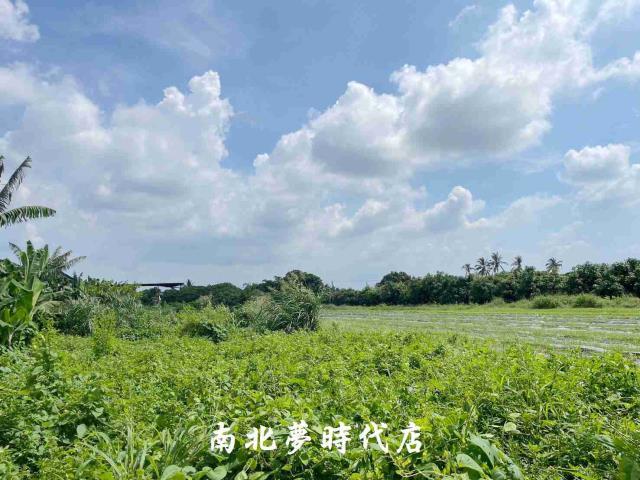 台南大內農地-4