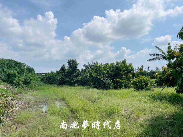 台南大內農地-6