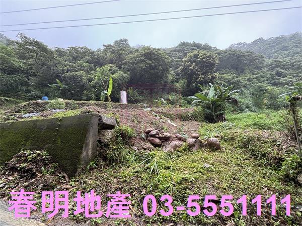 新竹芎林農地-1
