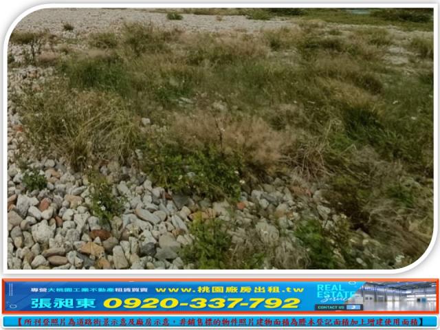 桃園蘆竹工業地-3