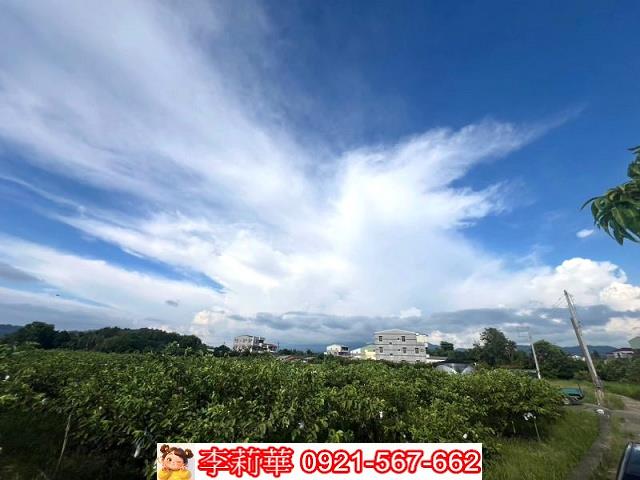 玉井農地-5