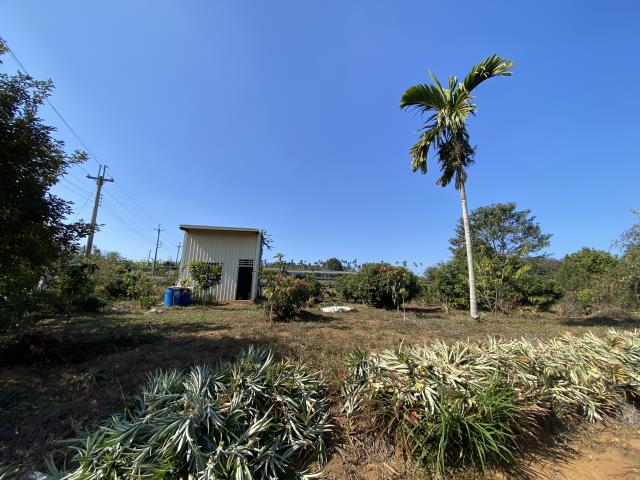 南投市農地-5
