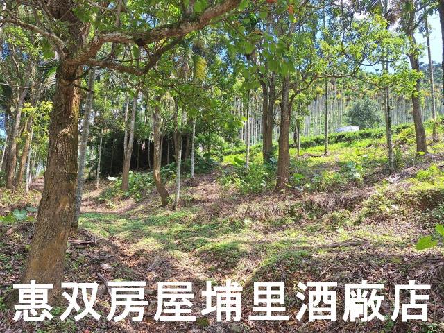 南投農地-0