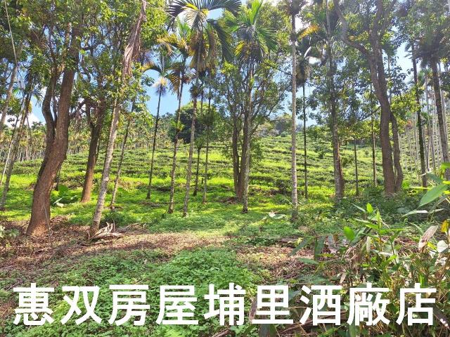 南投農地-1