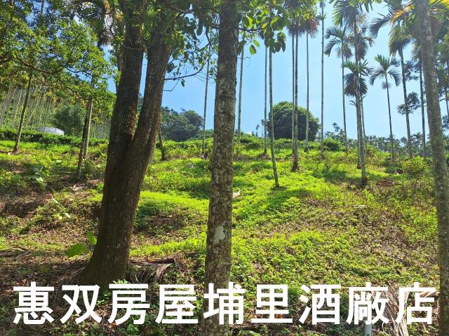 南投農地-2