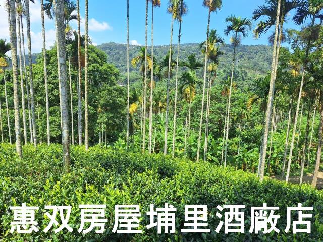 南投農地-3